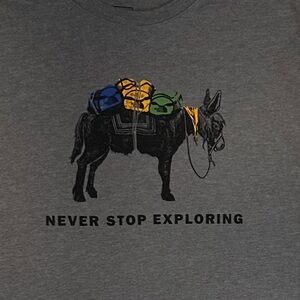 The North Face Gray Graphic Tee with Graphic